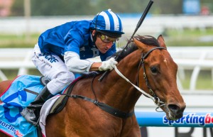 Nordic Empire winning the Flemington Equine Clinic Plate at Caulfield ridden by Damien Oliver and trained by Mick Price - (photo by Steven Dowden/Race Horse Photos Australia)