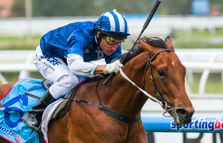 Nordic Empire is our Top Tip in the McNeil Stakes 2014