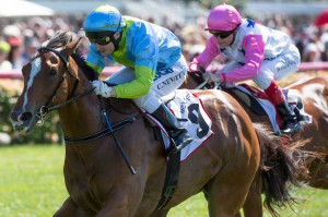 Race 1, Oakleigh Girl, Craig Newitt_05-11-13, Grp 3 7News Stakes, Flemington, WIN_084