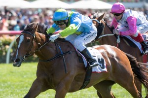 https://www.sportsnews.com.au/wp-content/uploads/2013/12/Race-1-Oakleigh-Girl-Craig-Newitt_05-11-13-Grp-3-7News-Stakes-Flemington-WIN_086.jpg