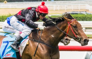 Winta Chiller winning the Toorak Toff at Rosemont Stud Handicap  at Caulfield - photo by Race Horse Photos Australia (Steven Dowden)