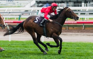 Charlie Boy winning the The Danehill Stakes at Flemington - photo by Race Horse Photos Australia