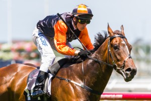 Kaiser Sun winning the Lanec Services Handicap at Flemington ridden by Chris Symons and trained by Matthew Ellerton & Simon Zahra - (photo by Steven Dowden/Race Horse Photos Australia)