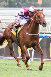 Trust In A Gust winning the Harris Walker VOBIS Gold Carat at Caulfield ridden by Damien Oliver and trained by Darren Weir - (photo by Steven Dowden/Race Horse Photos Australia)