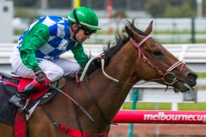 Anlon winning the George Watson Handicap at Flemington ridden by Dean Yendall and trained by Darren Weir - (photo by Steven Dowden/Race Horse Photos Australia)
