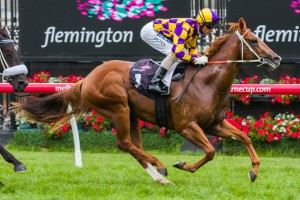 Bugatty winning the Better Beyond Plate at Flemington ridden by Glen Boss and trained by Michael, Wayne & John Hawkes - (photo by Steven Dowden/Race Horse Photos Australia)