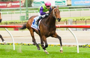 Cauthen winning the Essendon Nissan McKenzie Stakes at Moonee Valley - photo by Race Horse Photos Australia