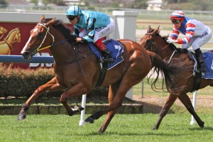 Stroak - Michael Cahill