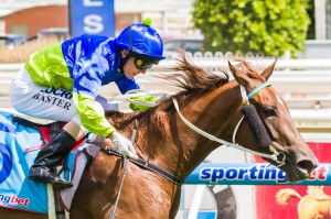 Eloping winning the Blue Diamond Preview (Fillies) at Moonee Valley ridden by Stephen Baster and trained by Peter Morgan & Craig Widdison - (photo by Steven Dowden/Race Horse Photos Australia)