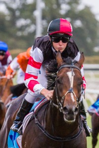 Lord Of The Sky winning the Guinot International Handicap at Caulfield ridden by Patrick Moloney and trained by Robbie Laing - (photo by Steven Dowden/Race Horse Photos Australia)