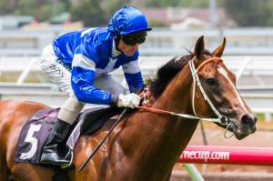 Nostradamus winning the Nursery Plate at Flemington ridden by Glen Boss and trained by Michael, Wayne & John Hawkes - (photo by Steven Dowden/Race Horse Photos Australia)