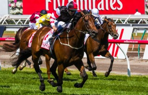 Polanski winning the VRC Victorian Derby at Flemington ridden by Hugh Bowman and trained by Robbie Laing - (photo by Steven Dowden/Race Horse Photos Australia)