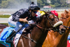 Scratchy Bottom winning the Robert Hunter Handicap at Caulfield ridden by Michael Rodd and trained by Michael Kent - (photo by Steven Dowden/Race Horse Photos Australia)