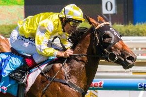 Bull Point winning the Manfred Stakes at Caulfield ridden by Damien Oliver and trained by Gai Waterhouse - (photo by Steven Dowden/Race Horse Photos Australia)
