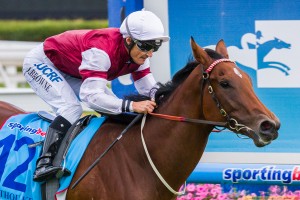 Earthquake winning the Blue Diamond Stakes at Caulfield ridden by Damien Browne and trained by Peter Snowden - (photo by Steven Dowden/Race Horse Photos Australia)