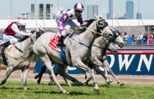 Arinosa winning the TCL 3D TV Plate at Flemington - photo by Race Horse Photos Australia (Steven Dowden)