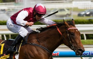Guelph winning the Schweppes Thousand Guineas at Caulfield - photo by Race Horse Photos Australia (Steven Dowden)