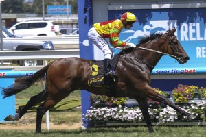Lankan Rupee