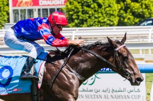 Nayeli winning the Chairman's Stakes at Caulfield ridden by Vlad Duric and trained by Gai Waterhouse - (photo by Steven Dowden/Race Horse Photos Australia)