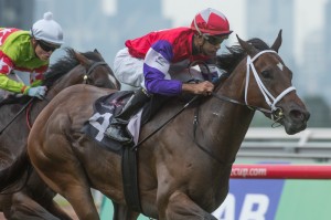 Hucklebuck, Dom Tourneur