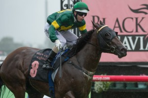 Snitzerland, Brenton Avdulla