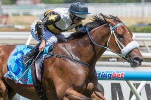 Moment Of Change, Luke Nolen