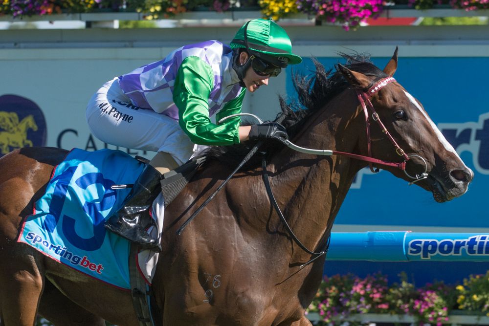 Prince of Penzance, Michelle Payne