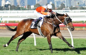 Star Rolling winning the Brian Beattie Handicap at Flemington - photo by Race Horse Photos Australia