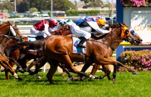 Woorim winning the Sportingbet Oakleigh Plate at Caulfield - photo by Race Horse Photos Australia