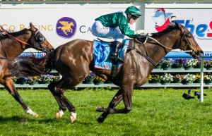 Samaready - Sportingbet Sprint 2014