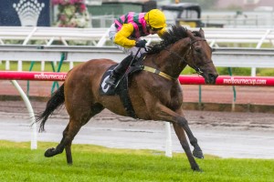 Outback Joe winning the Bagot Handicap at Flemington ridden by Oisin Murphy and trained by Nigel Blackiston - (photo by Steven Dowden/Race Horse Photos Australia)