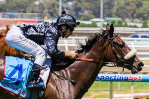 Scratchy Bottom winning the Robert Hunter Handicap at Caulfield ridden by Michael Rodd and trained by Michael Kent - (photo by Steven Dowden/Race Horse Photos Australia)