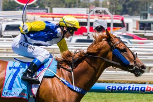 Sistine Demon winning the Thomas North Handicap at Caulfield ridden by Jamie Kah and trained by Andrew Noblet - (photo by Steven Dowden/Race Horse Photos Australia)