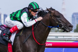 Shamus Award winning the Australian Guineas at Flemington ridden by Eddie Cassar and trained by Danny O'Brien - (photo by Steven Dowden/Race Horse Photos Australia)
