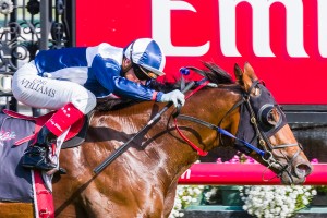 Adamantium winning the Bob Hoysted Handicap at Flemington ridden by Craig Williams and trained by Danny O'Brien - (photo by Steven Dowden/Race Horse Photos Australia)