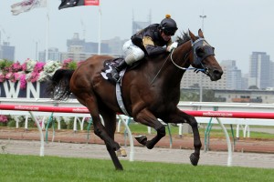 Cooldini (Adrienne Bicknell)