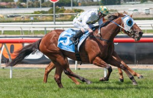 A Time For Julia is Adam's best bet of the day at Randwick today.