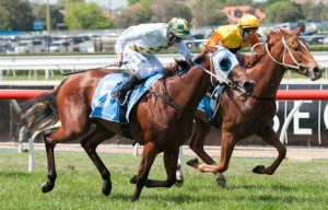 A Time For Julia winning the Snowhite Maintenance Plate at Caulfield - photo by Race Horse Photos Australia