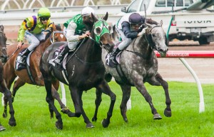 Banca Mo winning Race 6 at Flemington - photo by Race Horse Photos Australia
