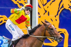 Lankan Rupee winning the Oakleigh Plate at Caulfield ridden by Craig Newitt and trained by Mick Price - (photo by Steven Dowden/Race Horse Photos Australia)