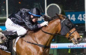 Mourinho is Adam's best roughie at Bendigo on Saturday