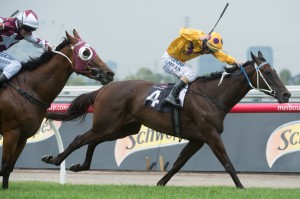 Sino Eagle is Adam's next best bet of the day at Bendigo today.