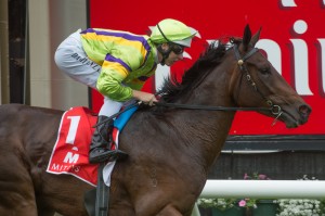 Solicit, Damian Lane