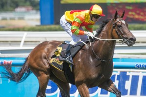 Lankan Rupee, Craig Newitt