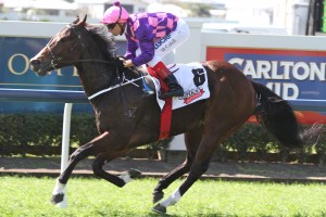 Rocket To Glory - Michael Cahill