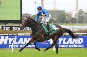 The Offer 'looks a special' says online bookmaker in Saturday's Sydney Cup