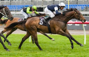 Tanby winning the The Bart Cummings at Flemington - photo by Race Horse Photos Australia