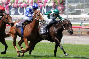 Bring Me The Maid (Adrienne Bicknell)