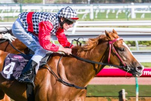 Akzar winning the Race 9 at Flemington ridden by Brad Rawiller and trained by Darren Weir - (photo by Steven Dowden/Race Horse Photos Australia)