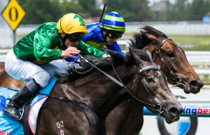 Girl In Flight winning the Leigh Thomas Gift at Caulfield ridden by Ryan Maloney and trained by Robbie Griffiths - (photo by Steven Dowden/Race Horse Photos Australia)